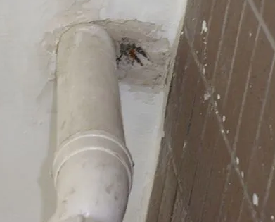 互助漏水检测哪家好